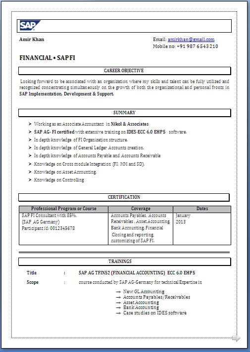 Treasury sap resume